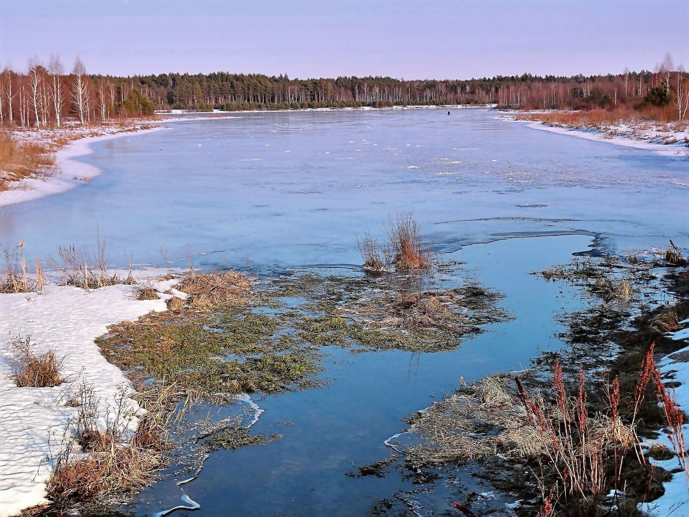 Весеннее настроение