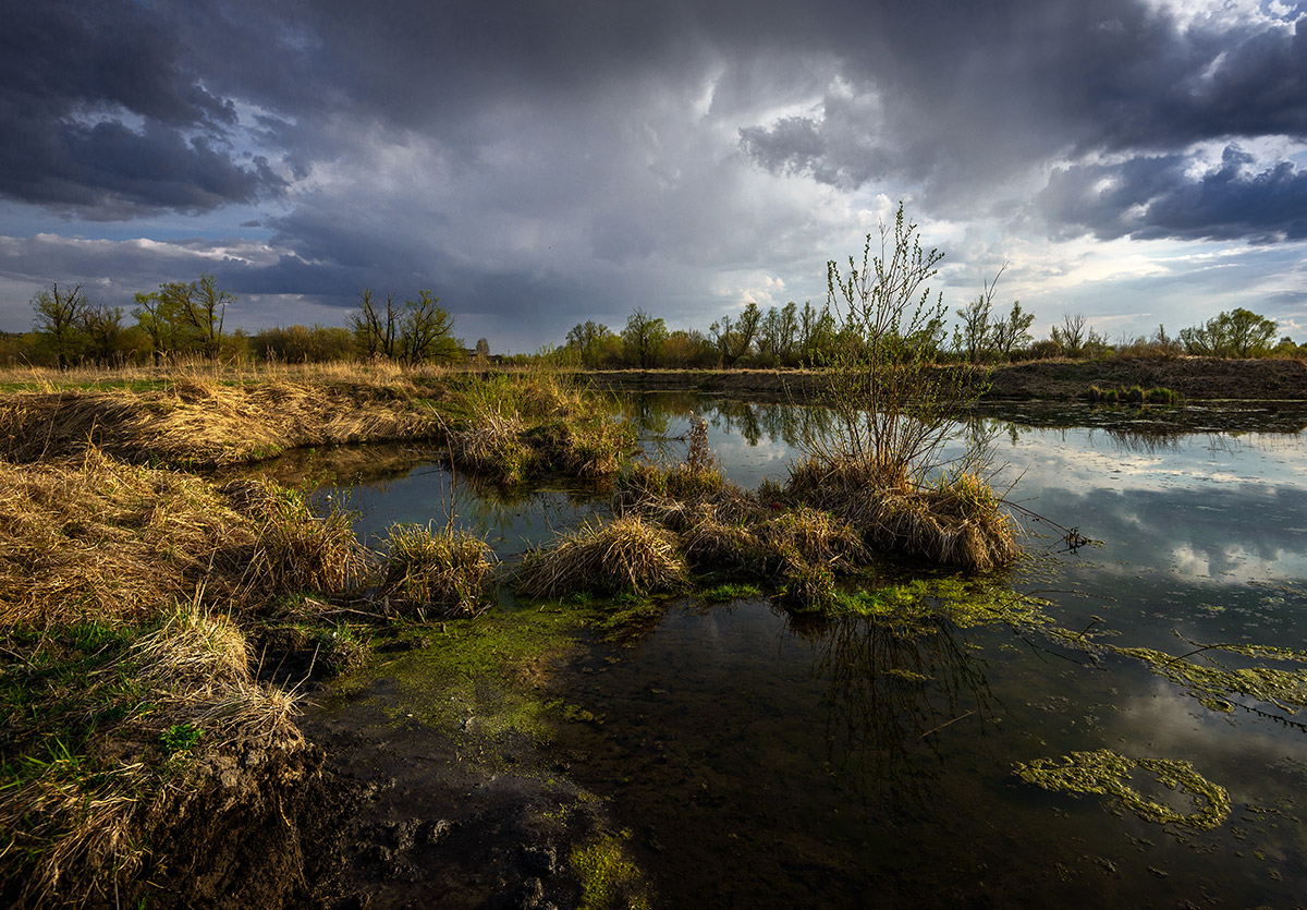 Перед грозой...