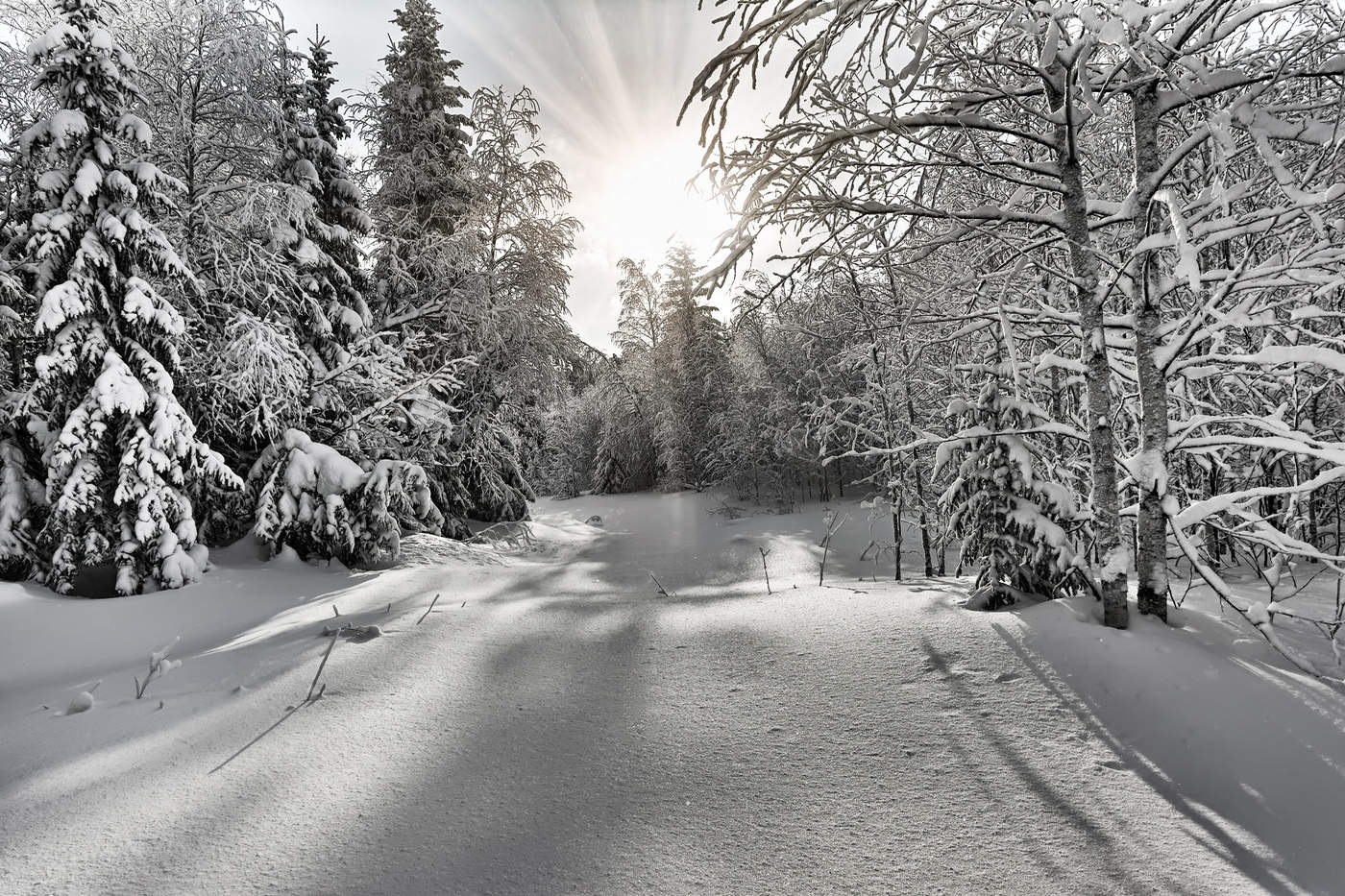 Полуденное солнце