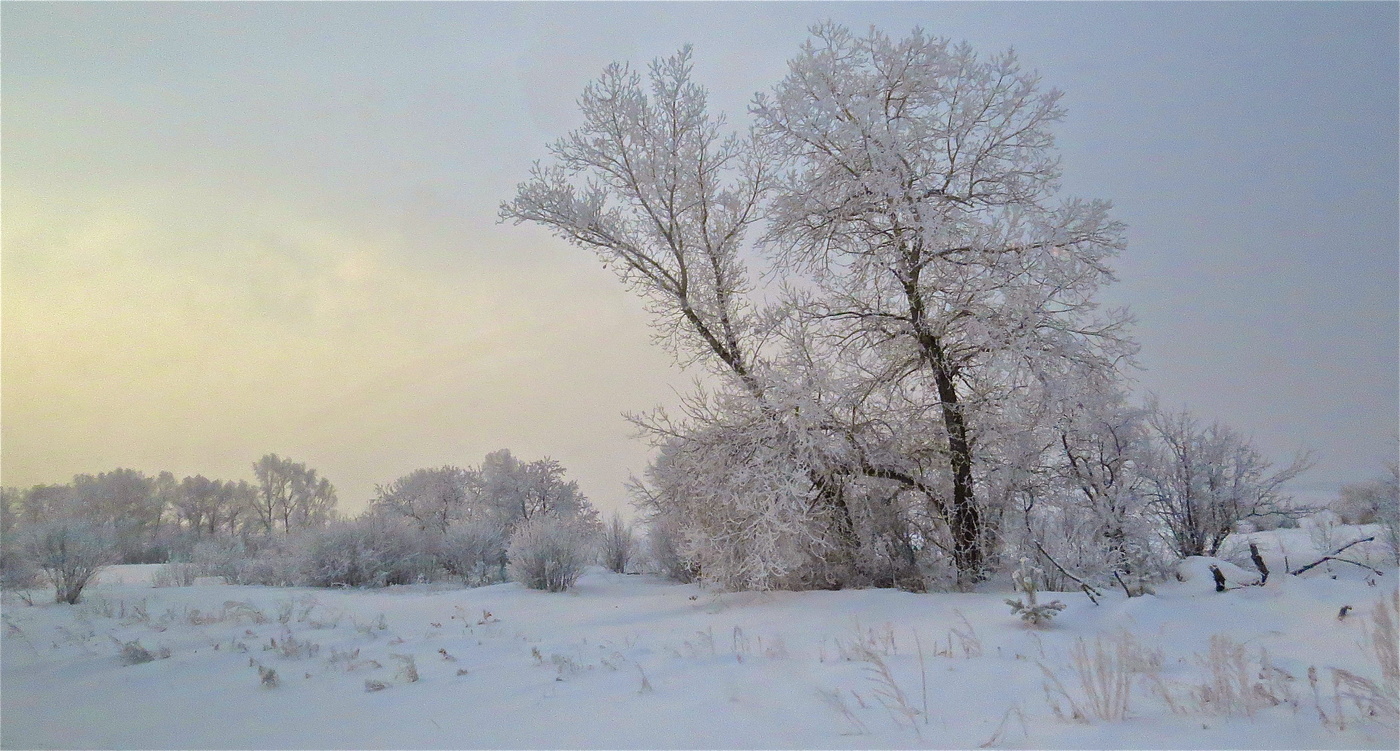 Морозным утром