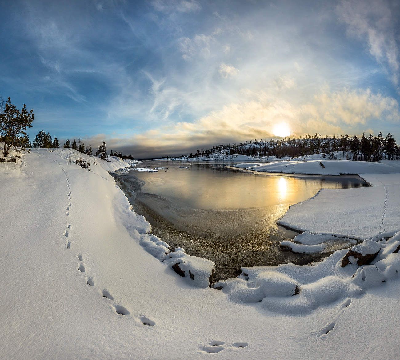 След невиданного зверя.