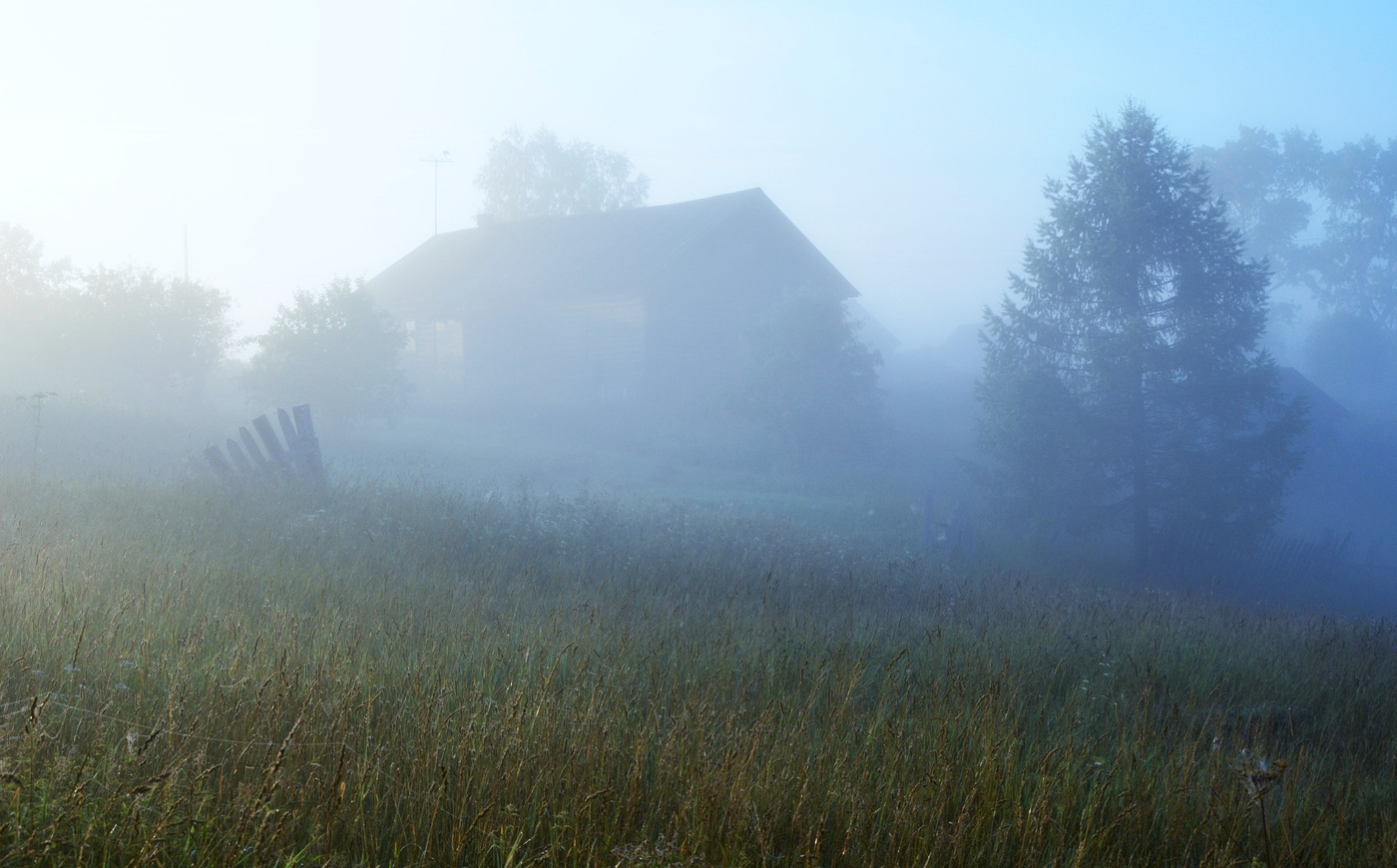 Дремотою обвеян я - о время, погоди...