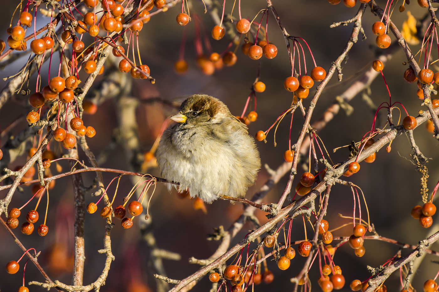 Жизнь удалась!