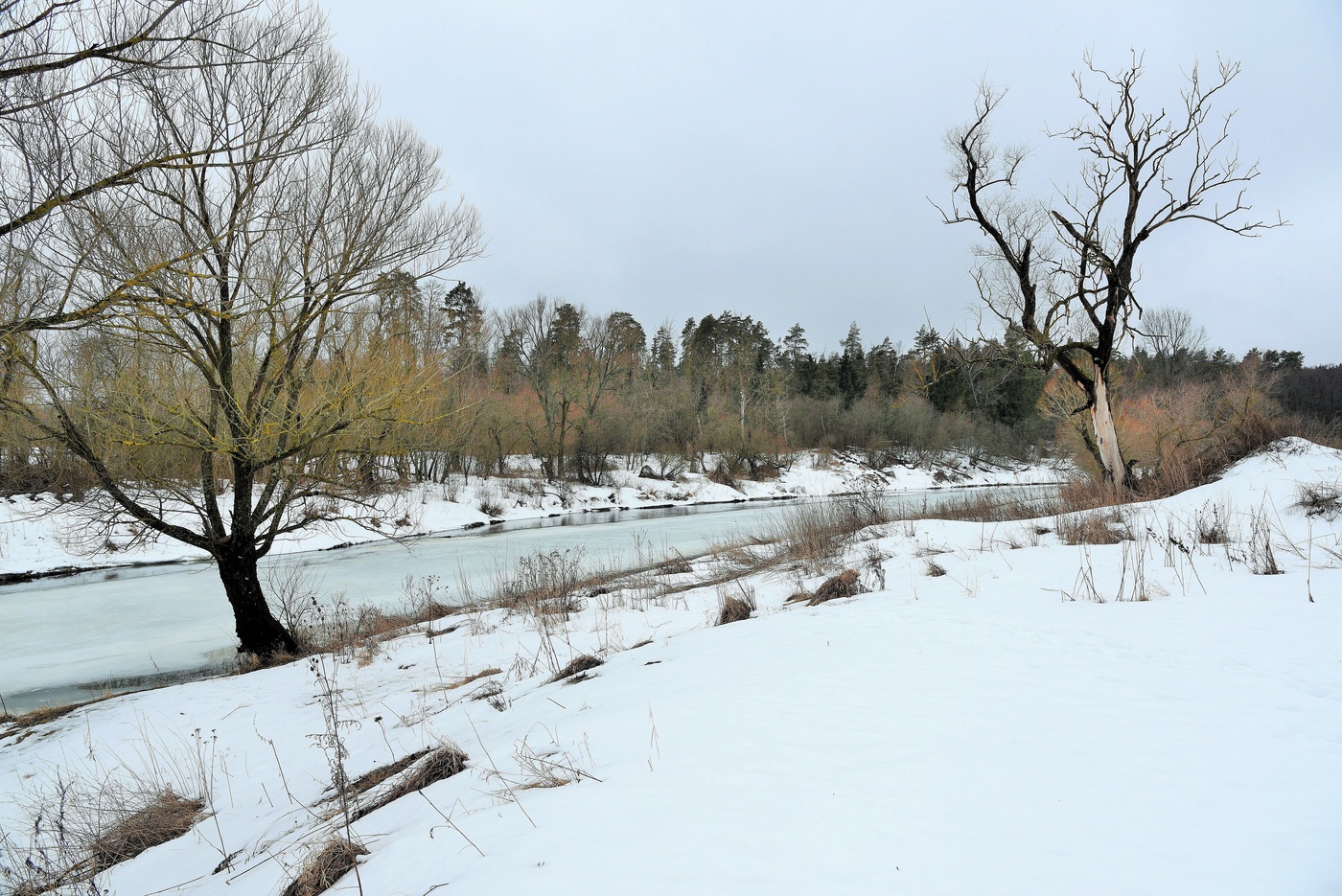 "Весна в окно стучится..."