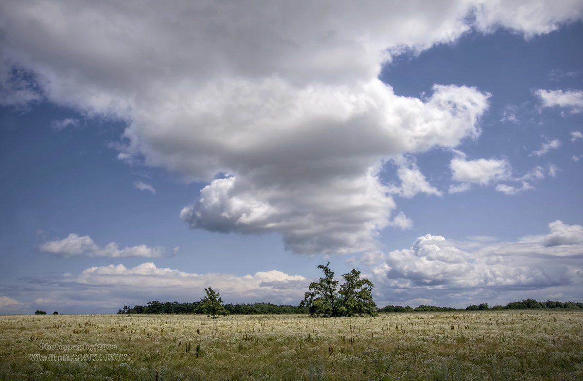 Дотянуться до небес