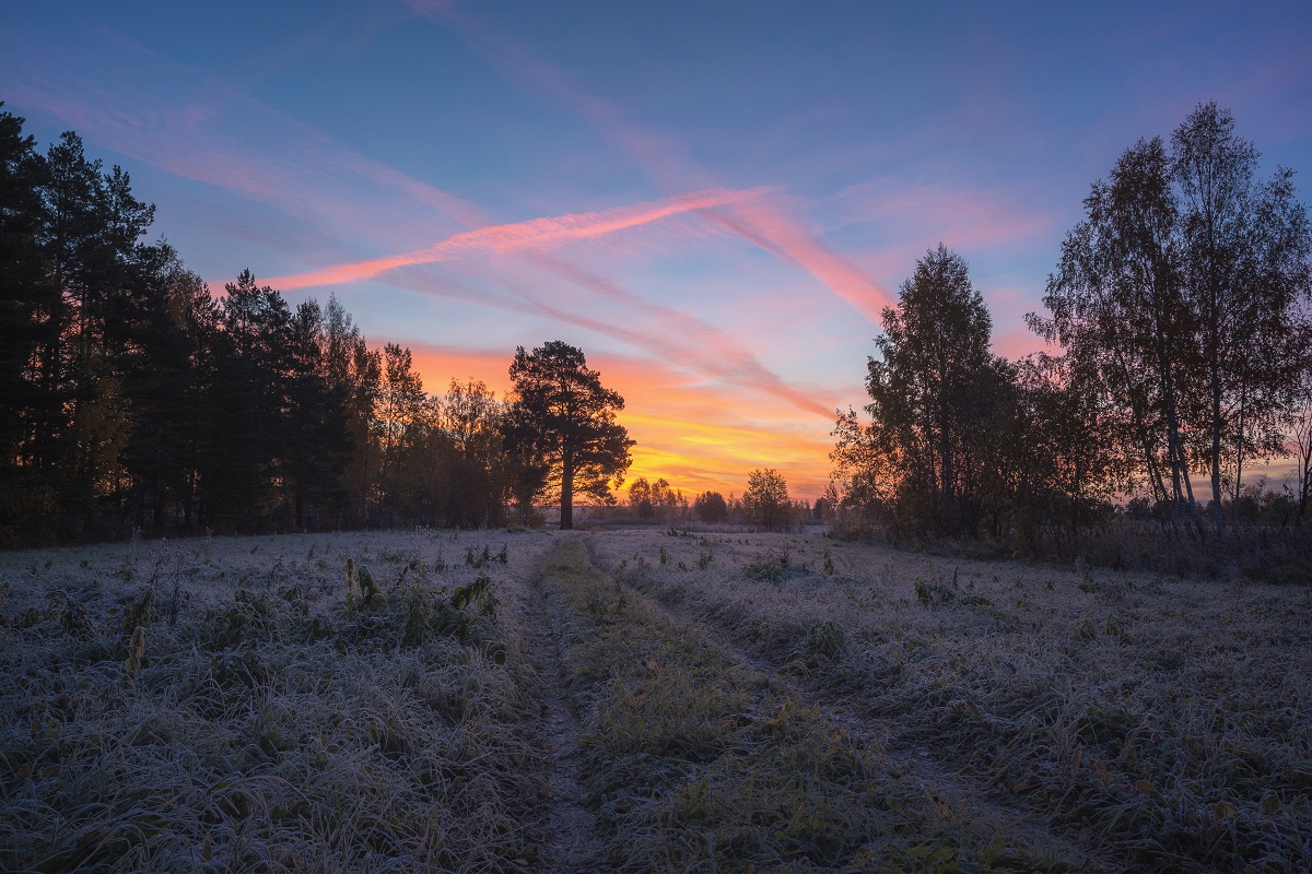 Такие разные пути и направления.