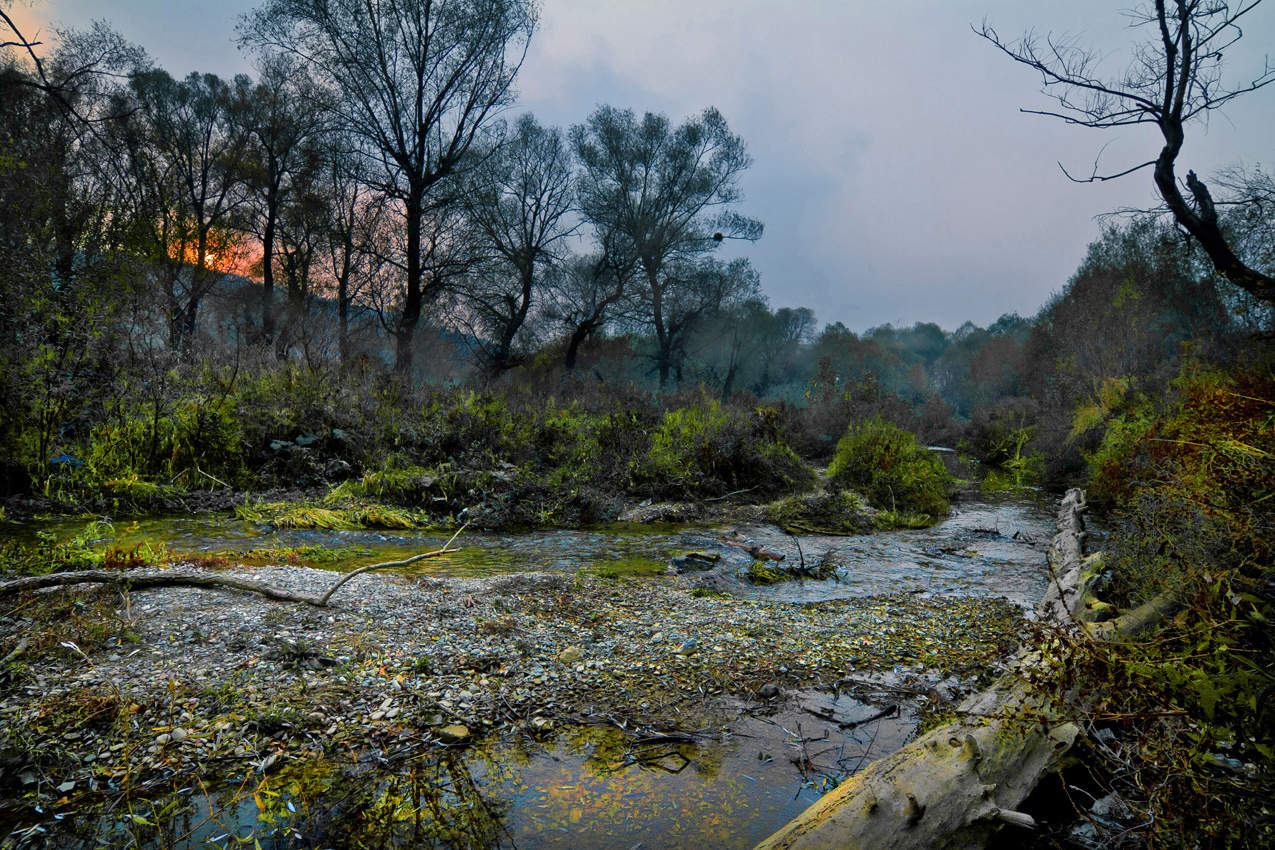 Вечерний звон.