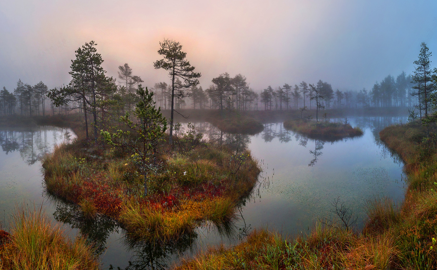 Поэзия болот.