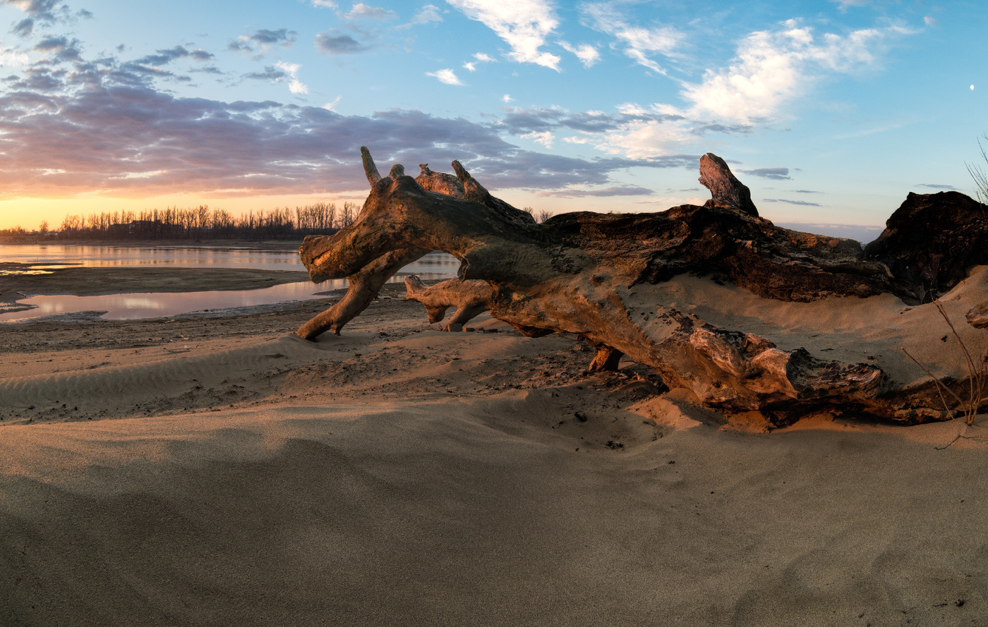 Улыбка единорога