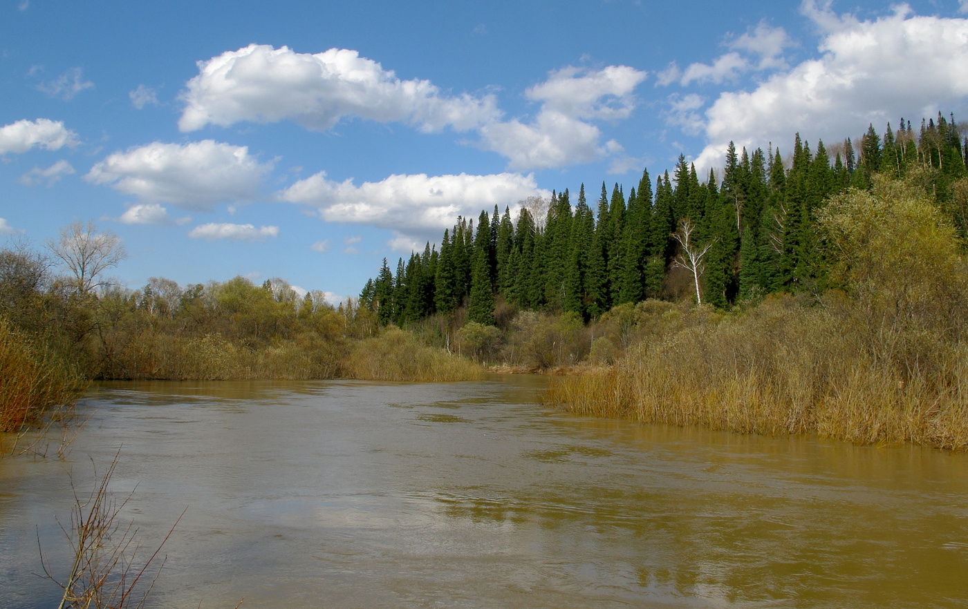 В тайгу пришла весна
