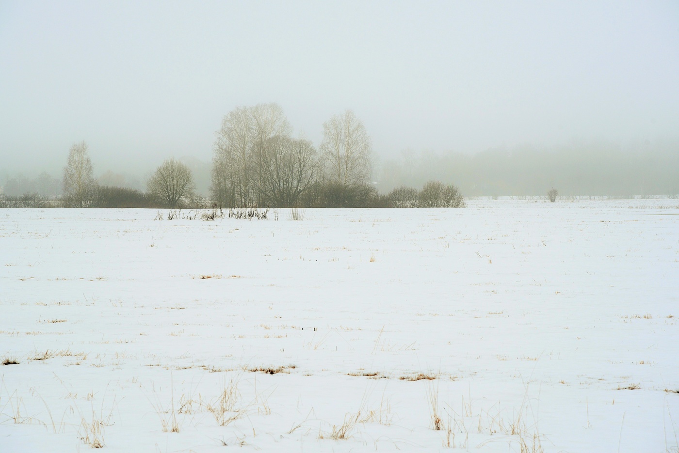 "Уходи, Зима седая!..."