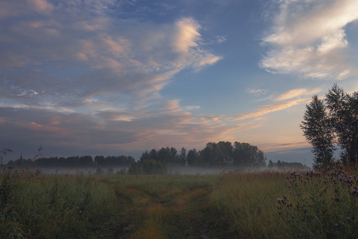 У развилки.