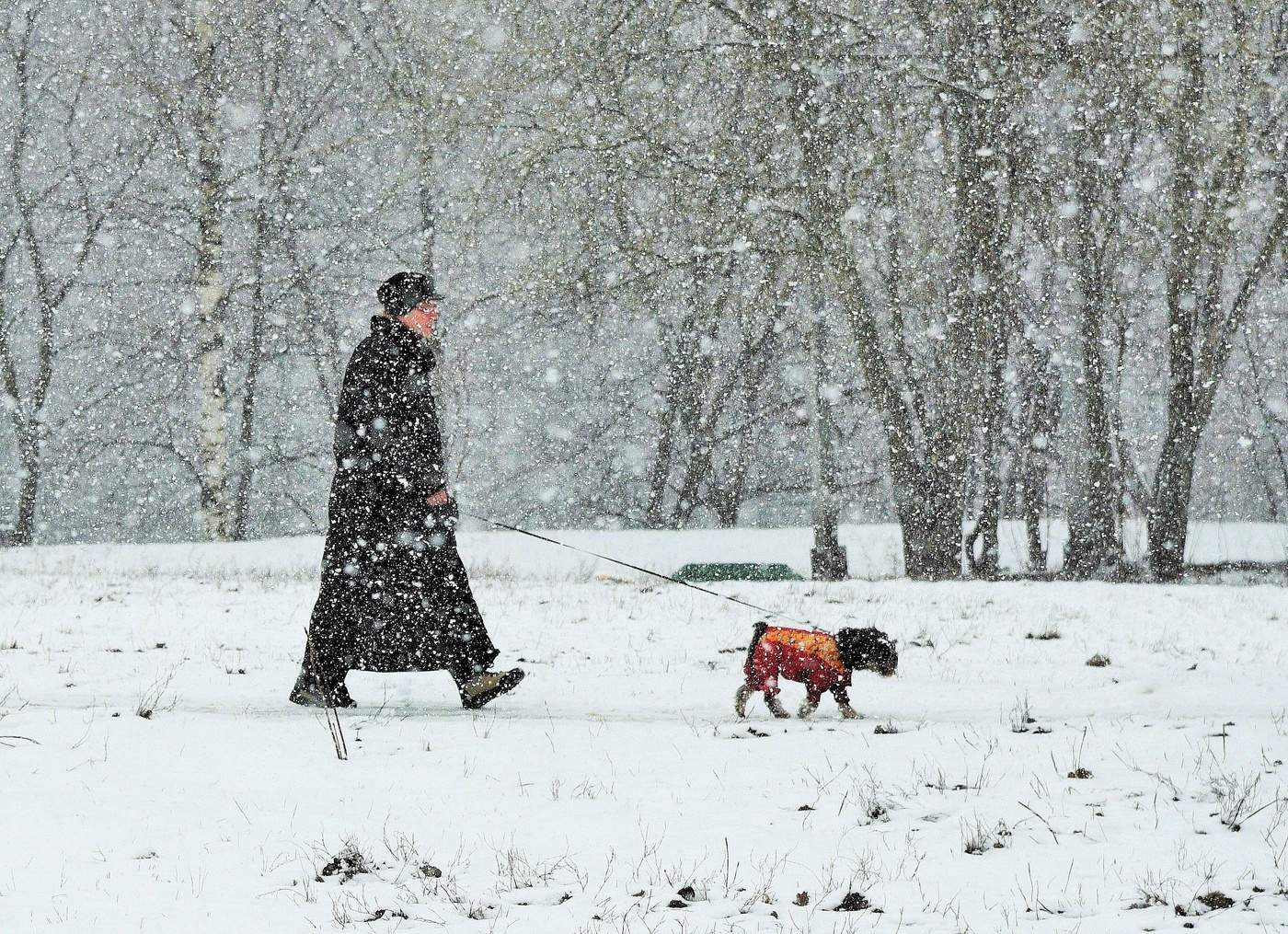 "У природы нет плохой погоды..."