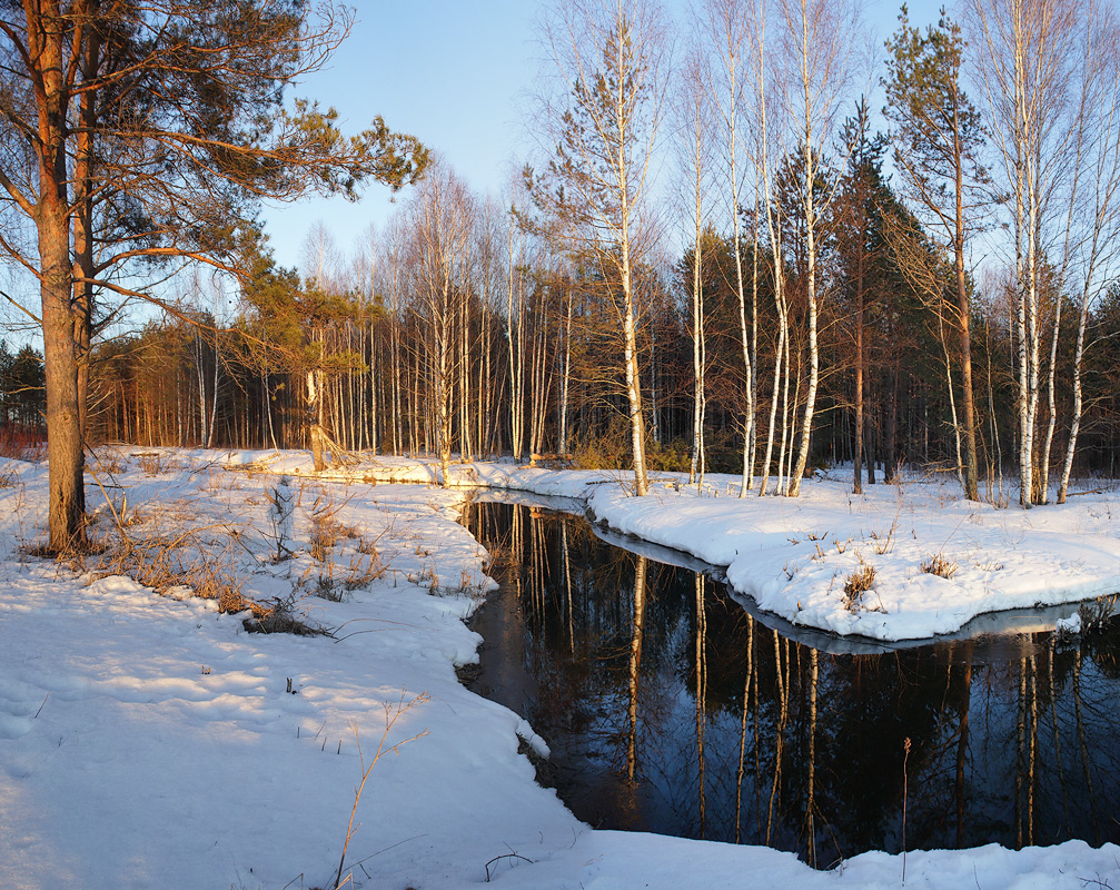 Мартовский вечер