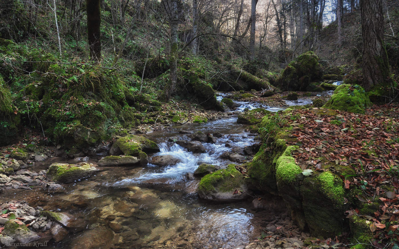 По ноябрьской Мезмайке...
