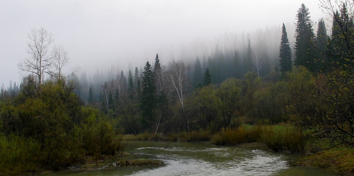 Я гоняюсь, я гоняюсь за туманом, и с собою мне не справиться никак.