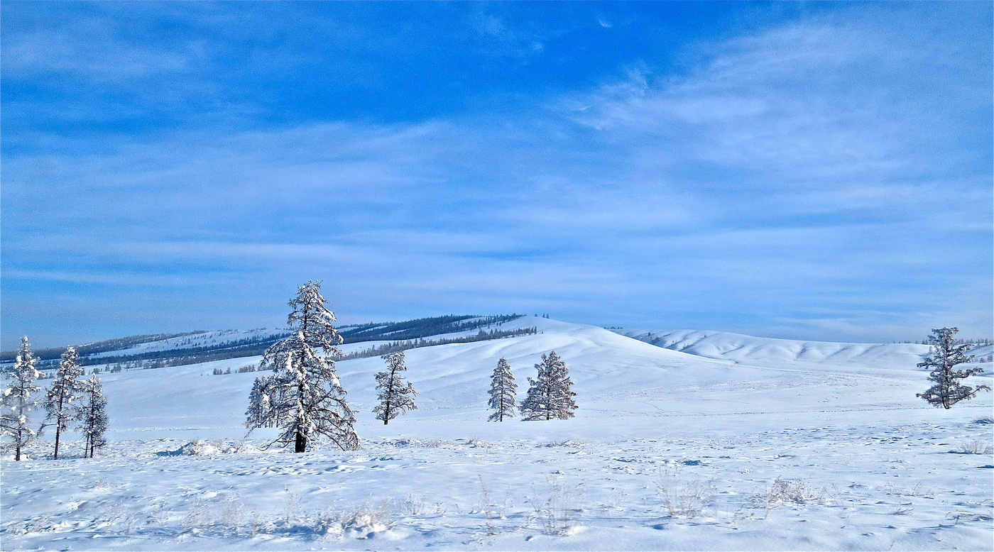 Январским полднем