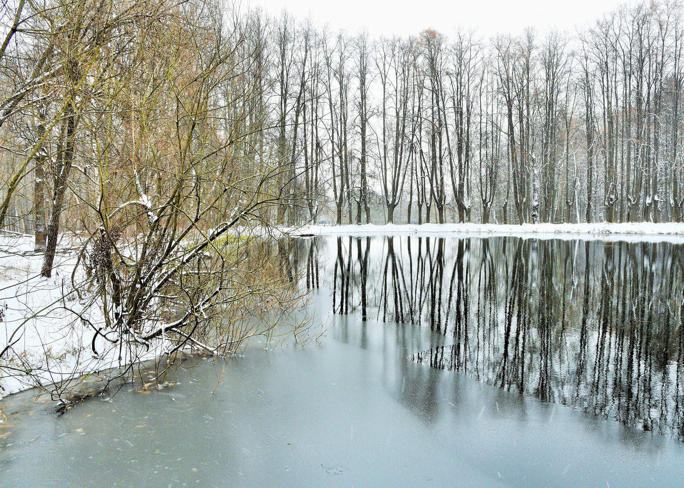 "...первый снег мне этот мил..."