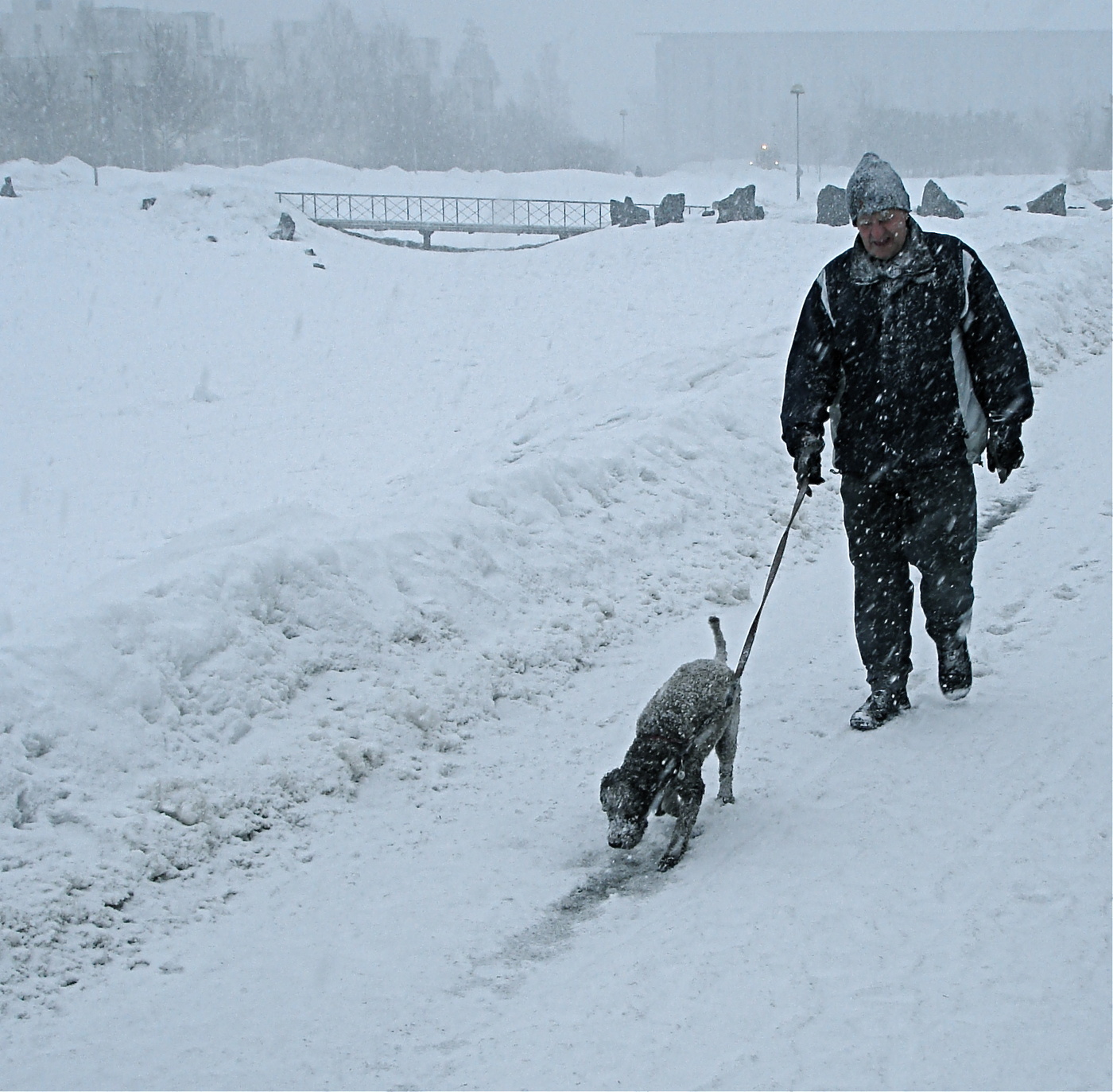 Хозяин, ты чё? Устал тя тащить!