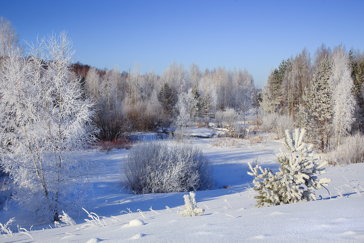 Утренний иней