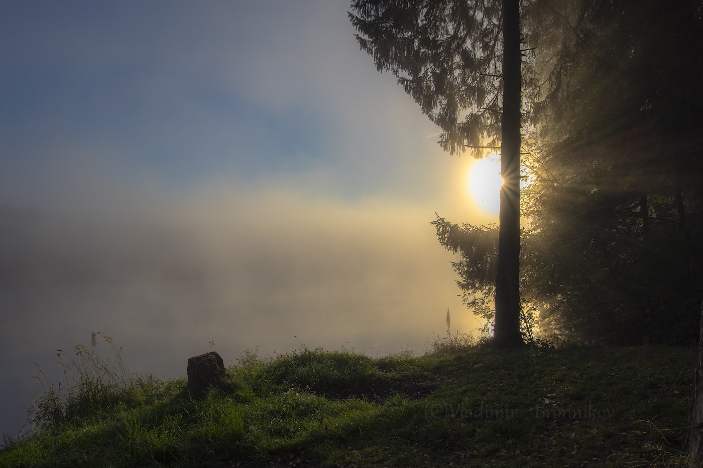 Выглянуло солнце....