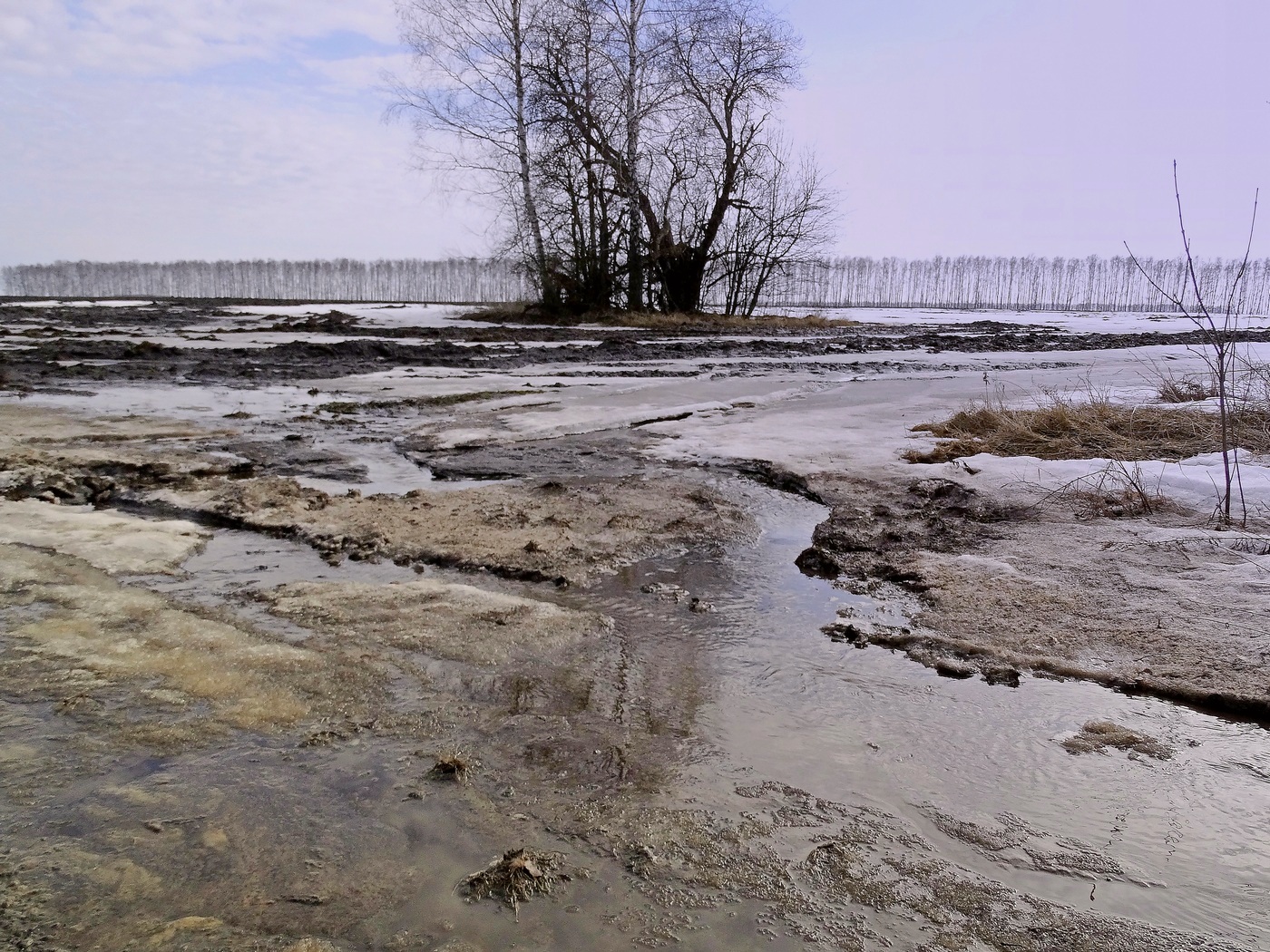 Мы думали это весна, а это оттепель