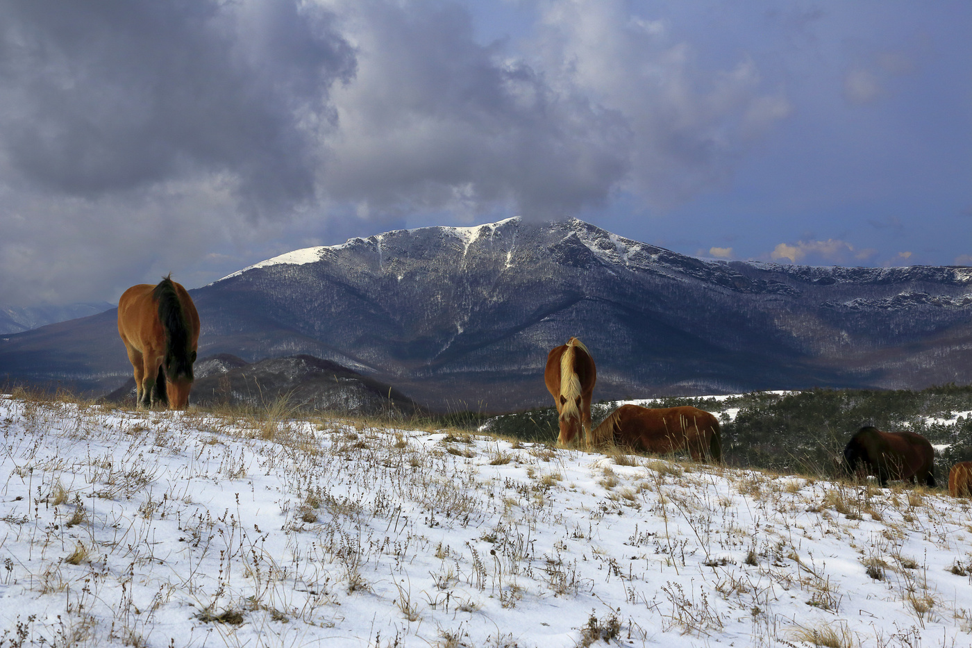 Мы думали это весна, а это оттепель