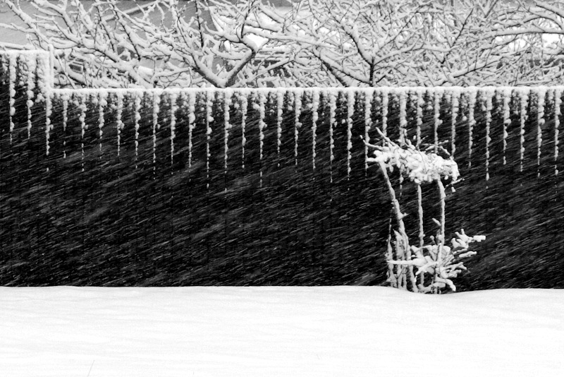 Мы думали это весна, а это оттепель