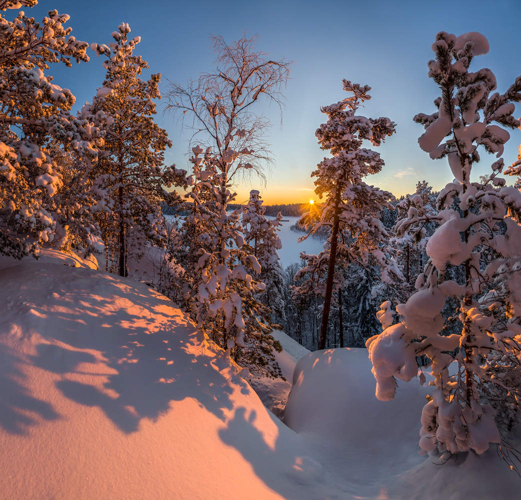 В янтарных лучах солнца.