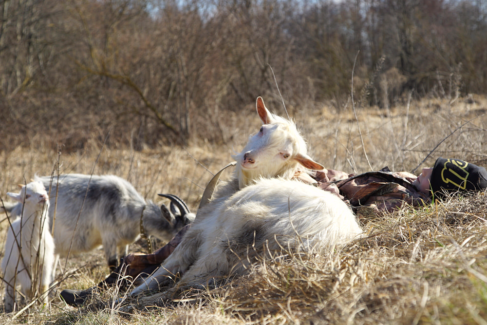 Мы думали это весна, а это оттепель