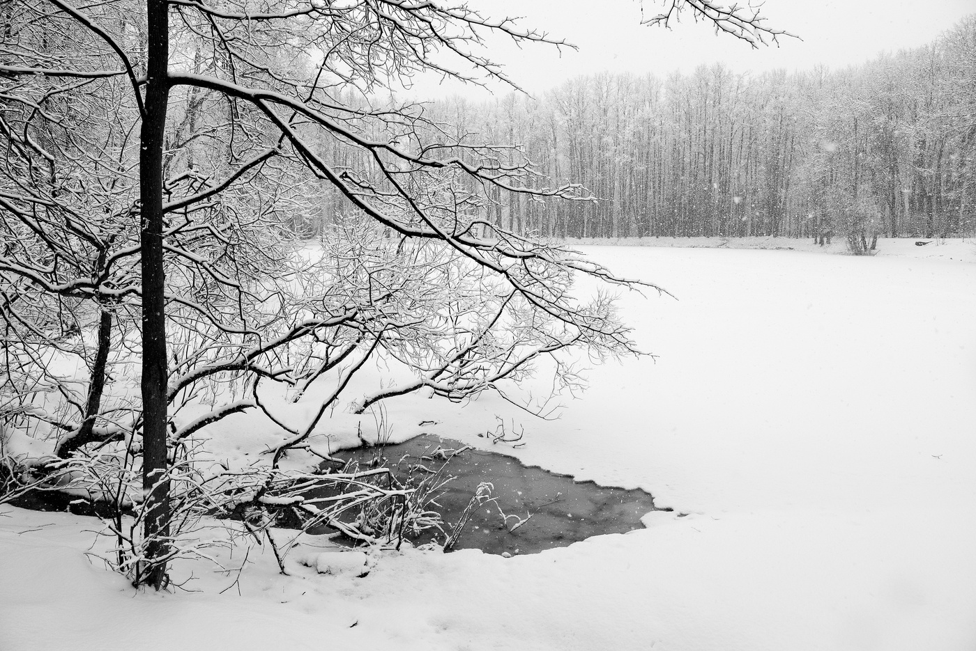 Чародейкою-Зимою околдован лес стоит...