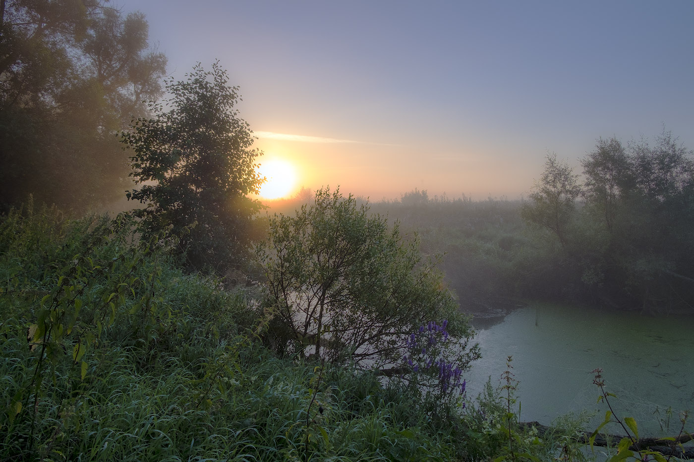 Утро над омутом...