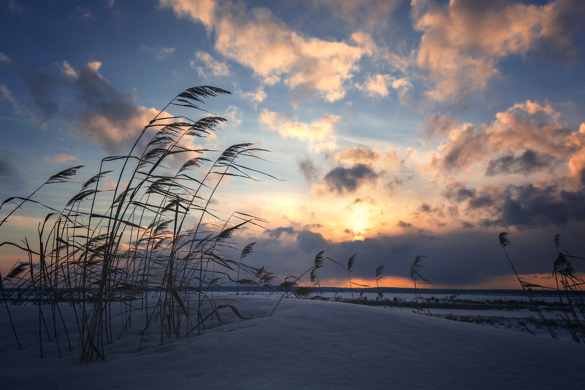 Шумел камыш...