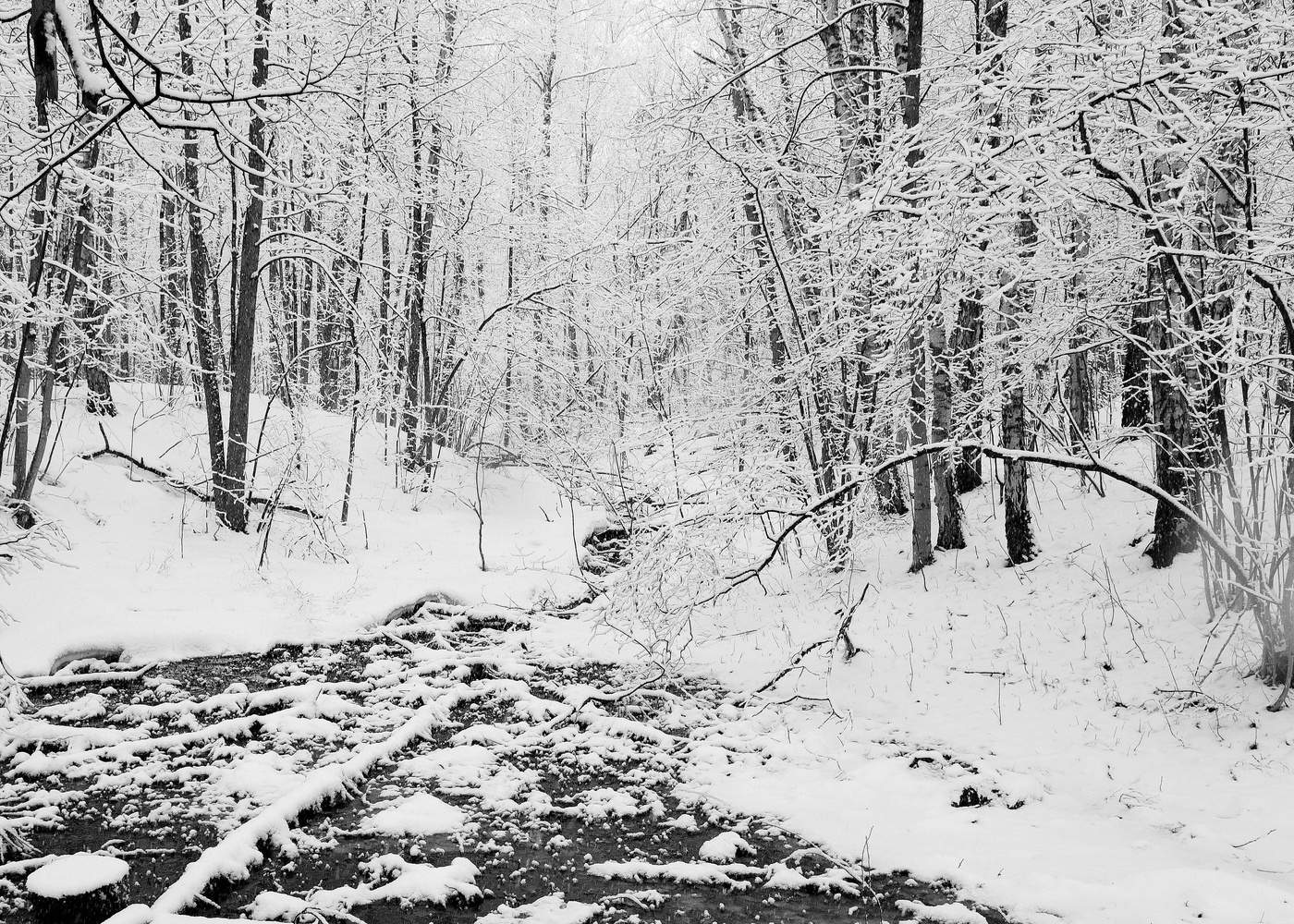 Зима еще хлопочет и на Весну ворчит...