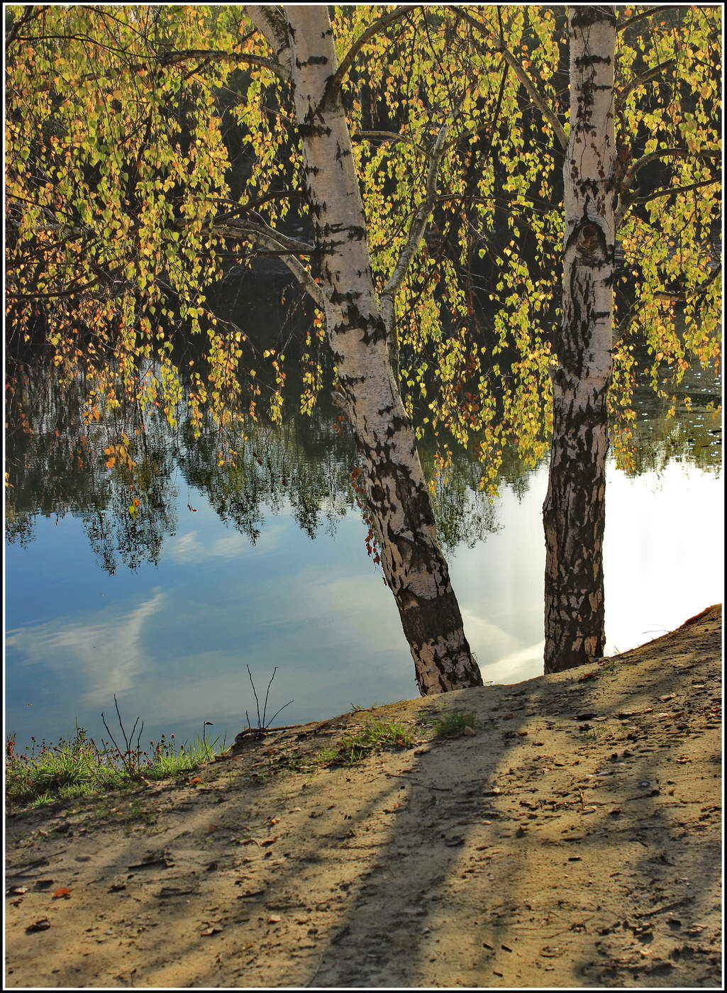 осенний этюд