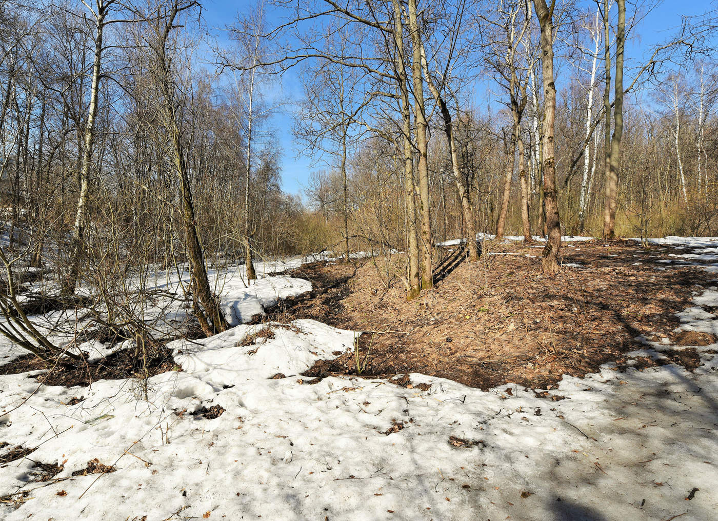 "Пришла она, желанная ..."