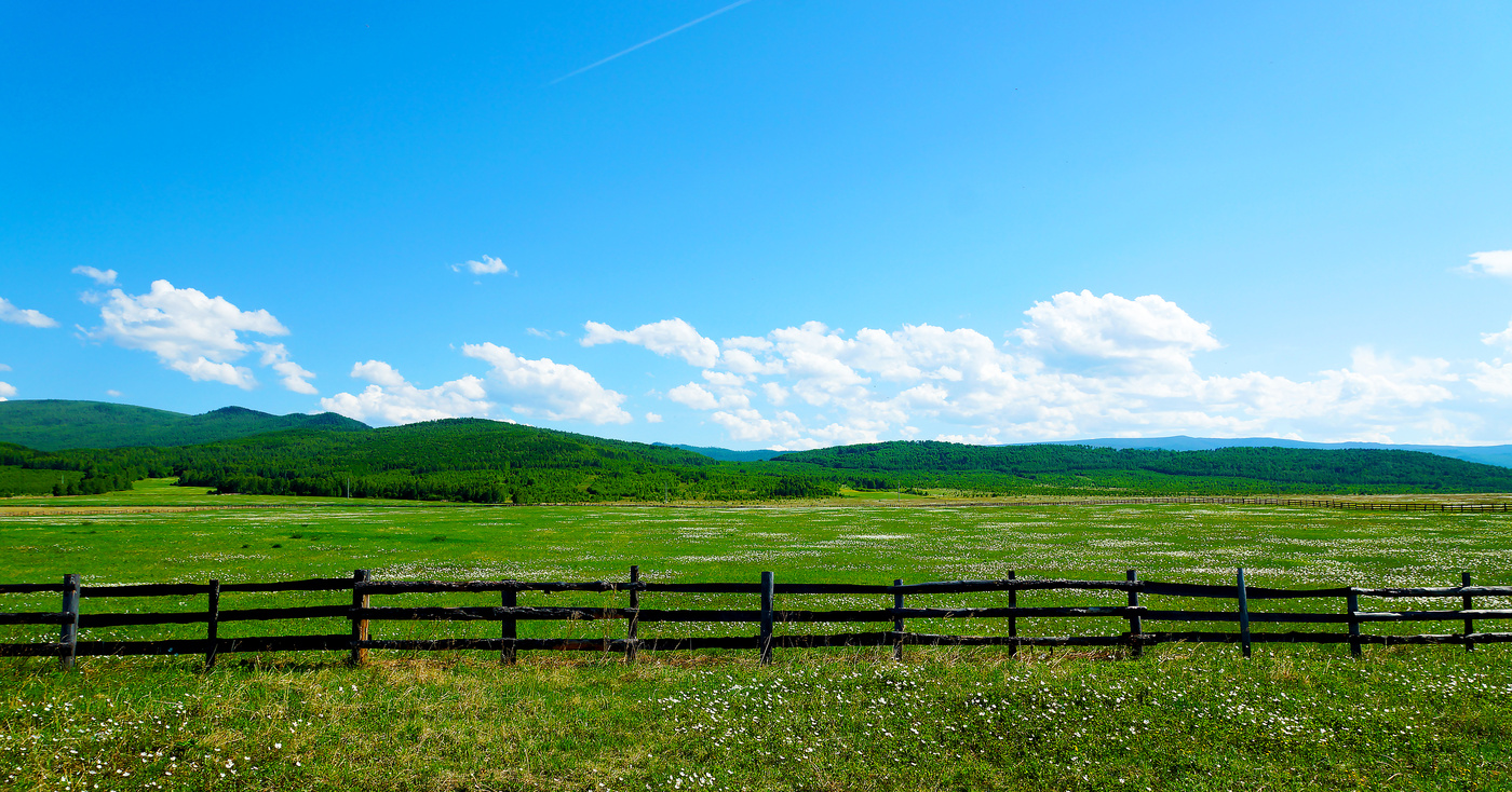 Родные просторы