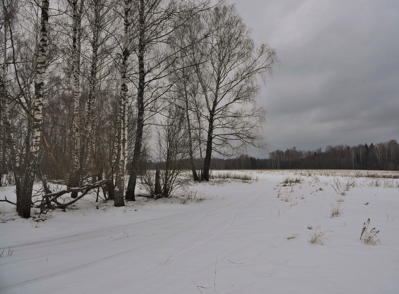 По дороге в Загорск понимаешь невольно...