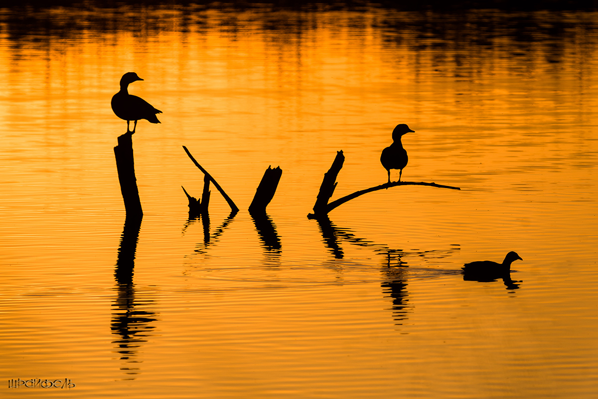 На грани дня и ночи