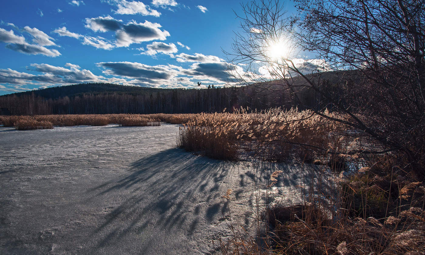 Весеннее солнце