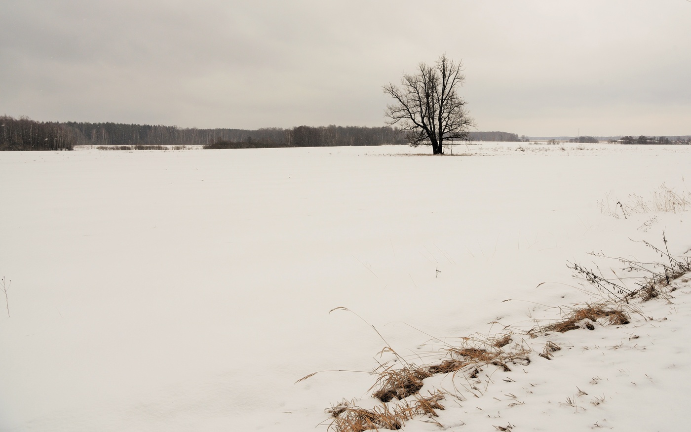 Мой край, задумчивый и нежный...