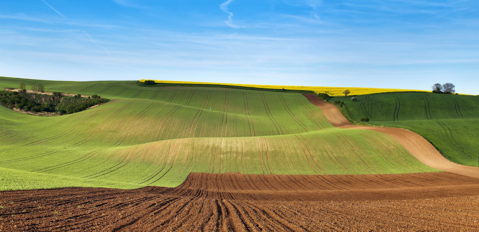 О весенней Моравии