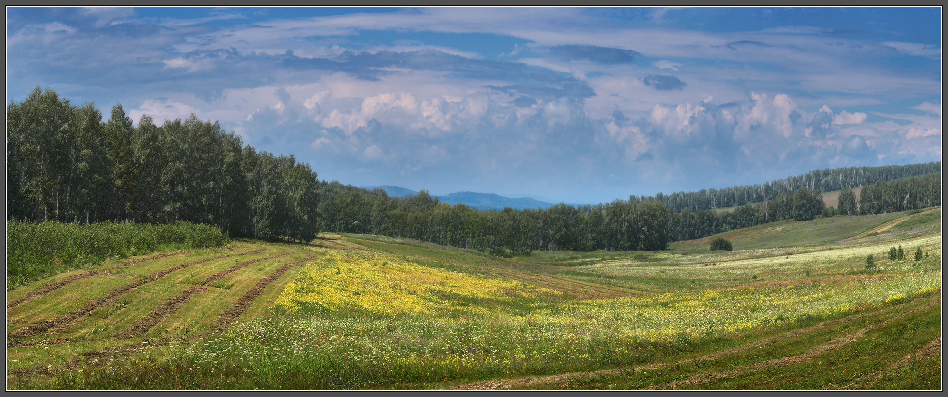 Меж двух дождей