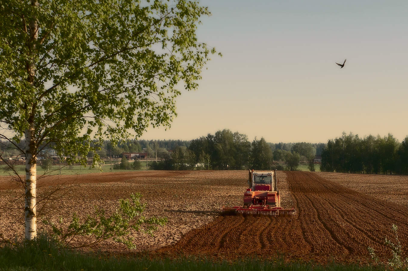 Заметки на полях