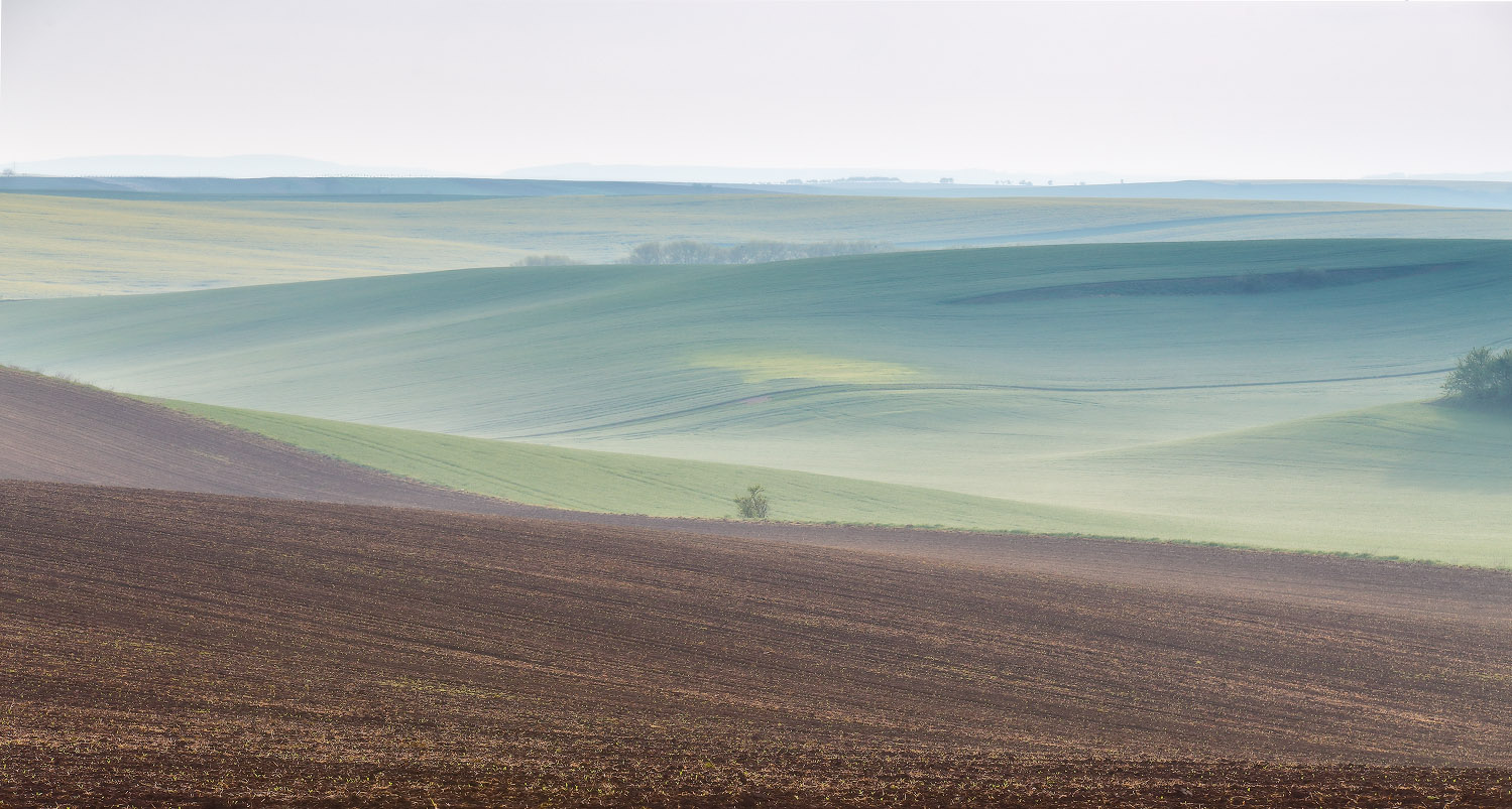 Заметки на полях