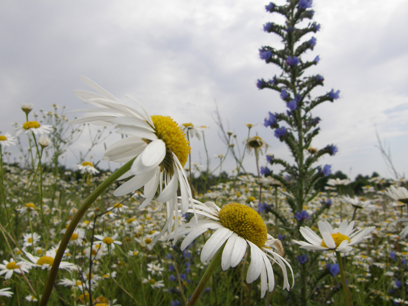 Заметки на полях