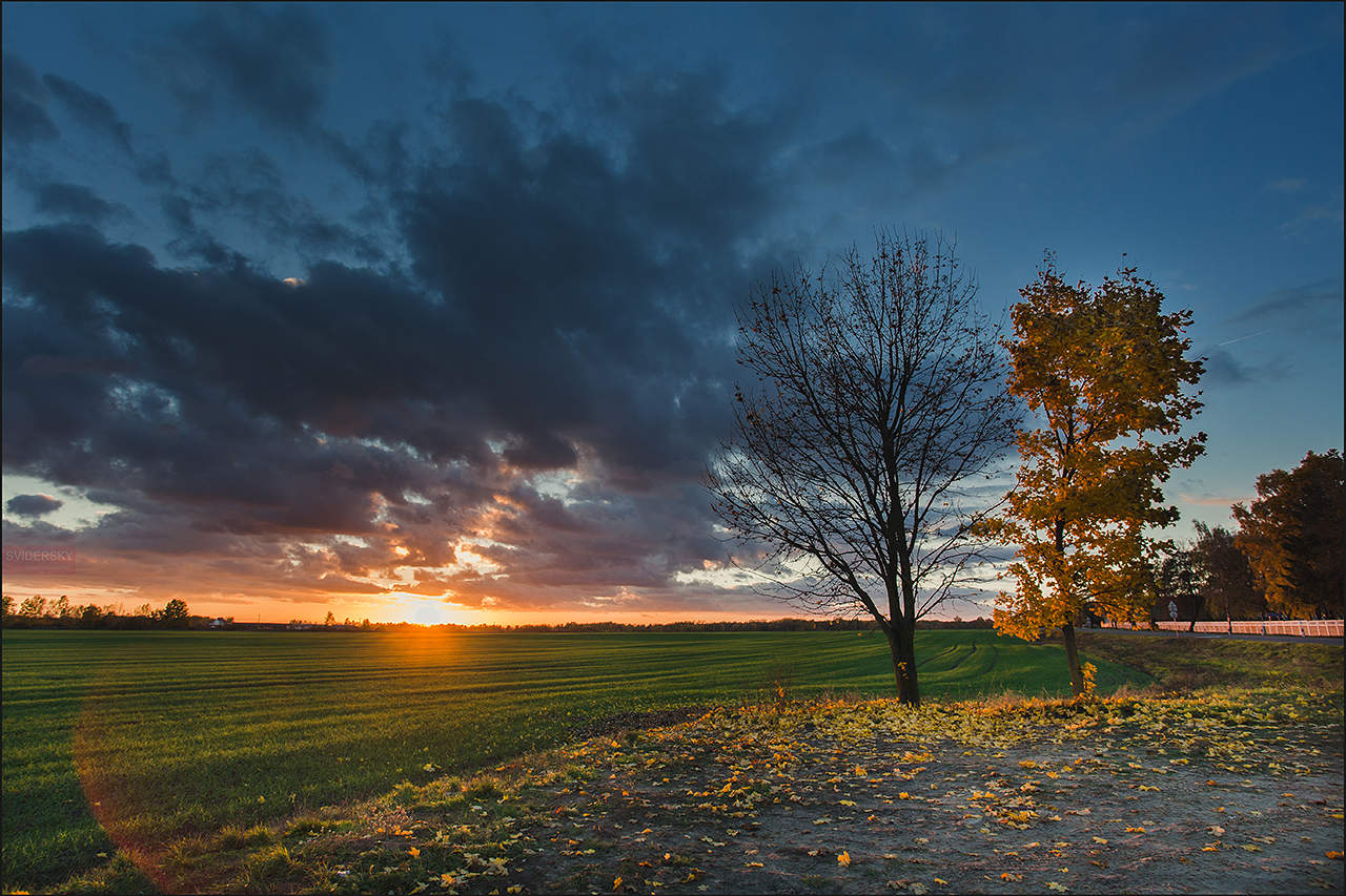 Белорусские мотивы.