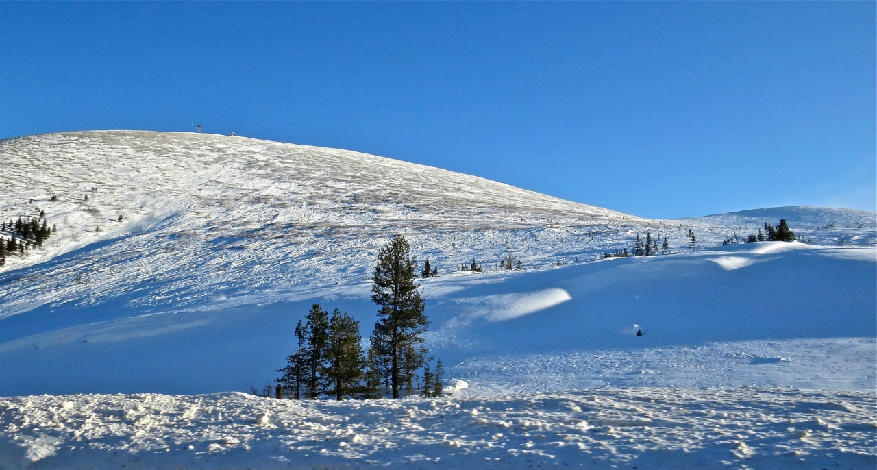 Заметки на полях
