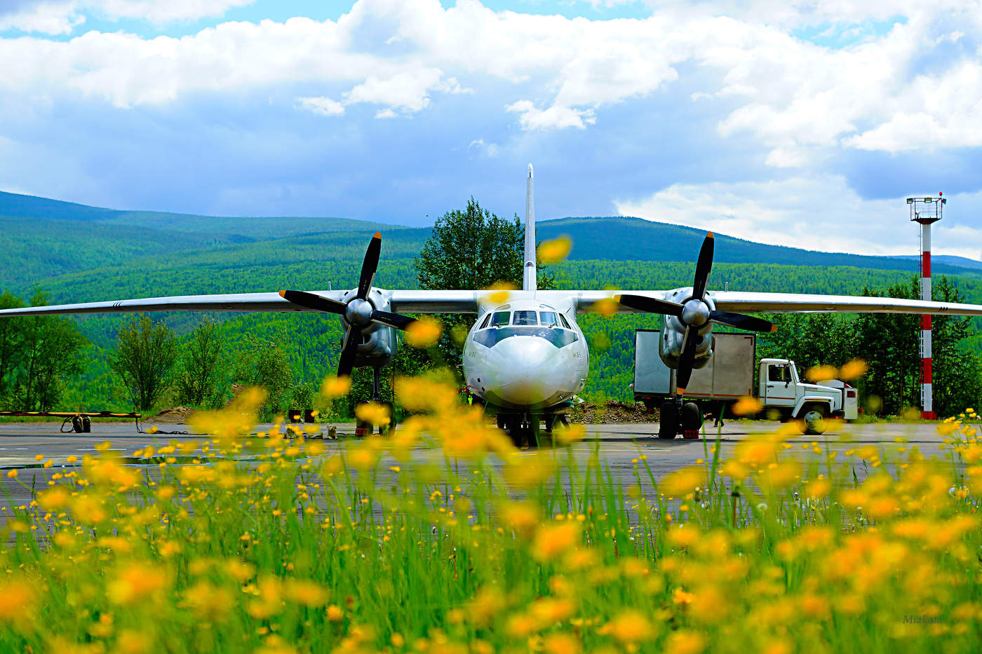 В золоте лета