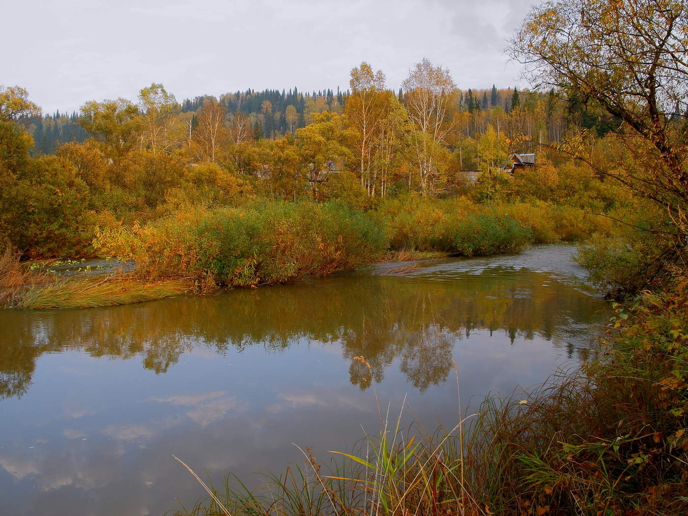 Осень, ты на грусть мою похожа, осень...